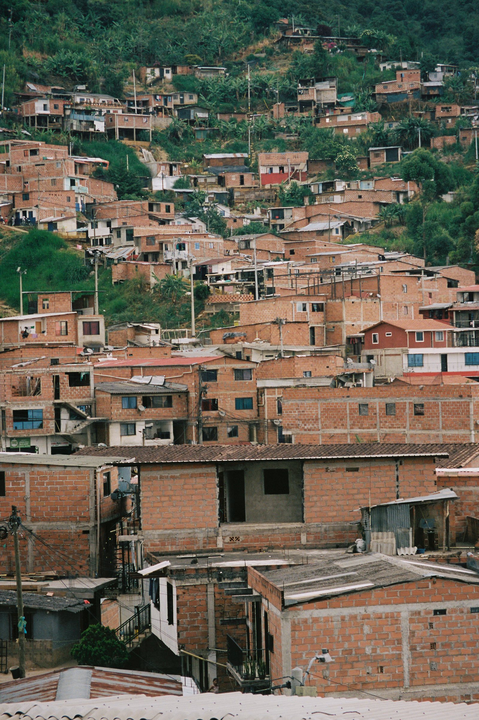 bello oriente