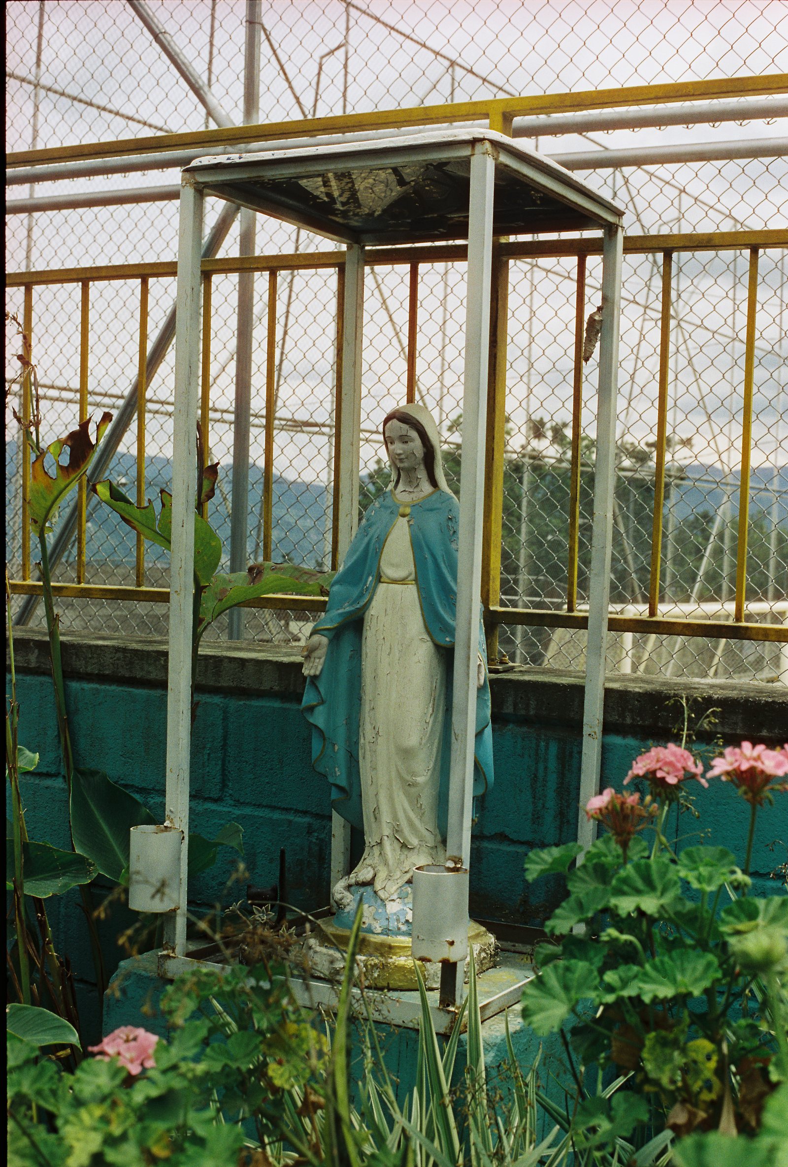 la virgen del carmen