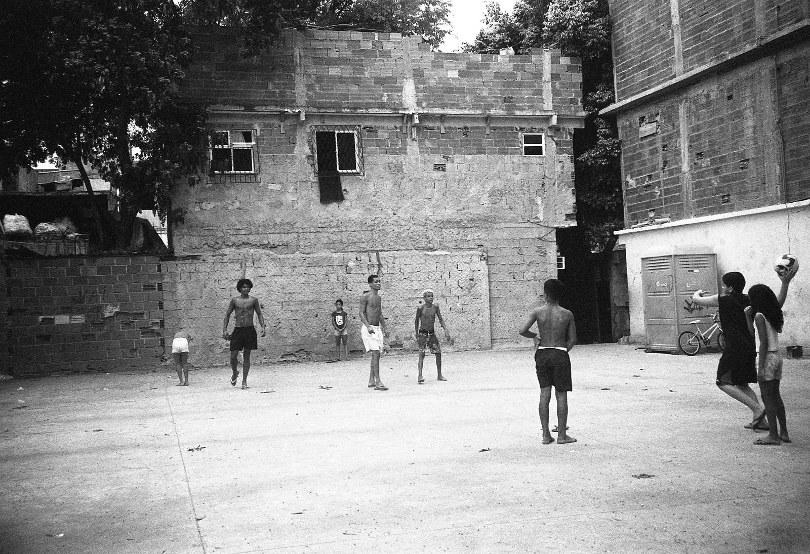 crías del ladrillito