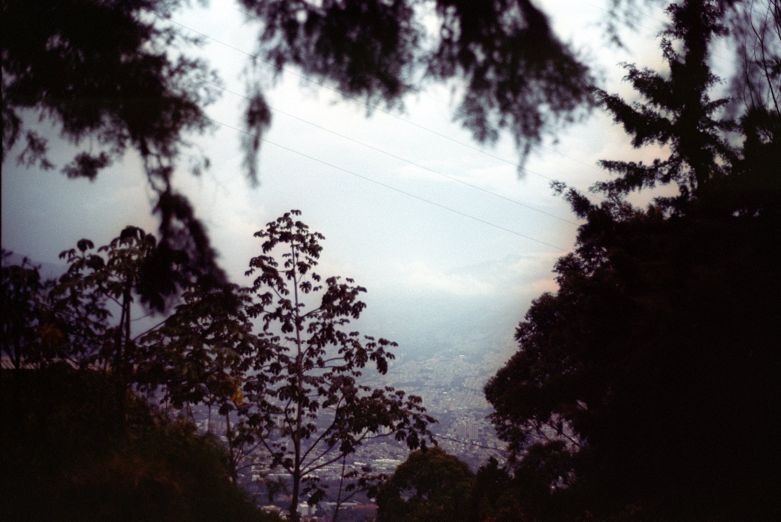 naturaleza