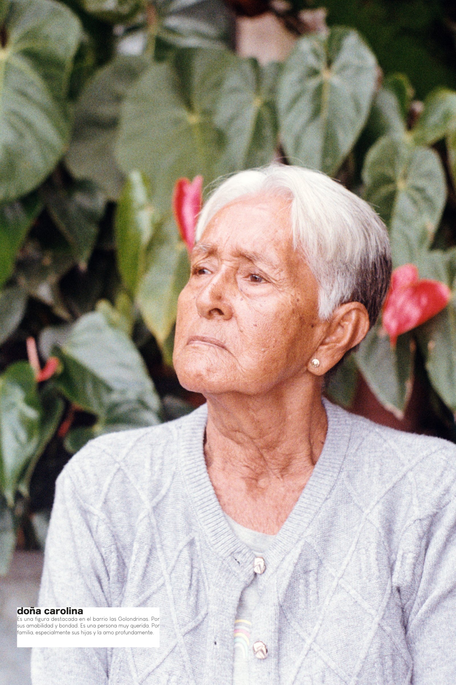 doña carolina